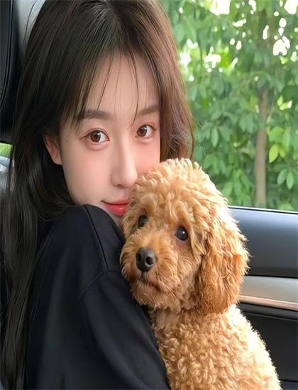 《朝鲜神枪手》美学价值分析：艺术美感与审美特征探讨，免费观看